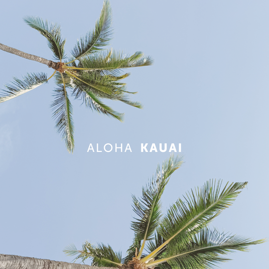 TRAVEL JOURNAL: KAUAI, HAWAII