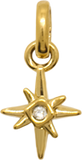 Nature & Animal Charms