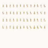Individual Charms